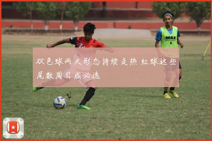 双色球两大形态持续走热 红球这些尾数周日成必选